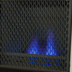ProCom 10000 BTU dual fuel heater label