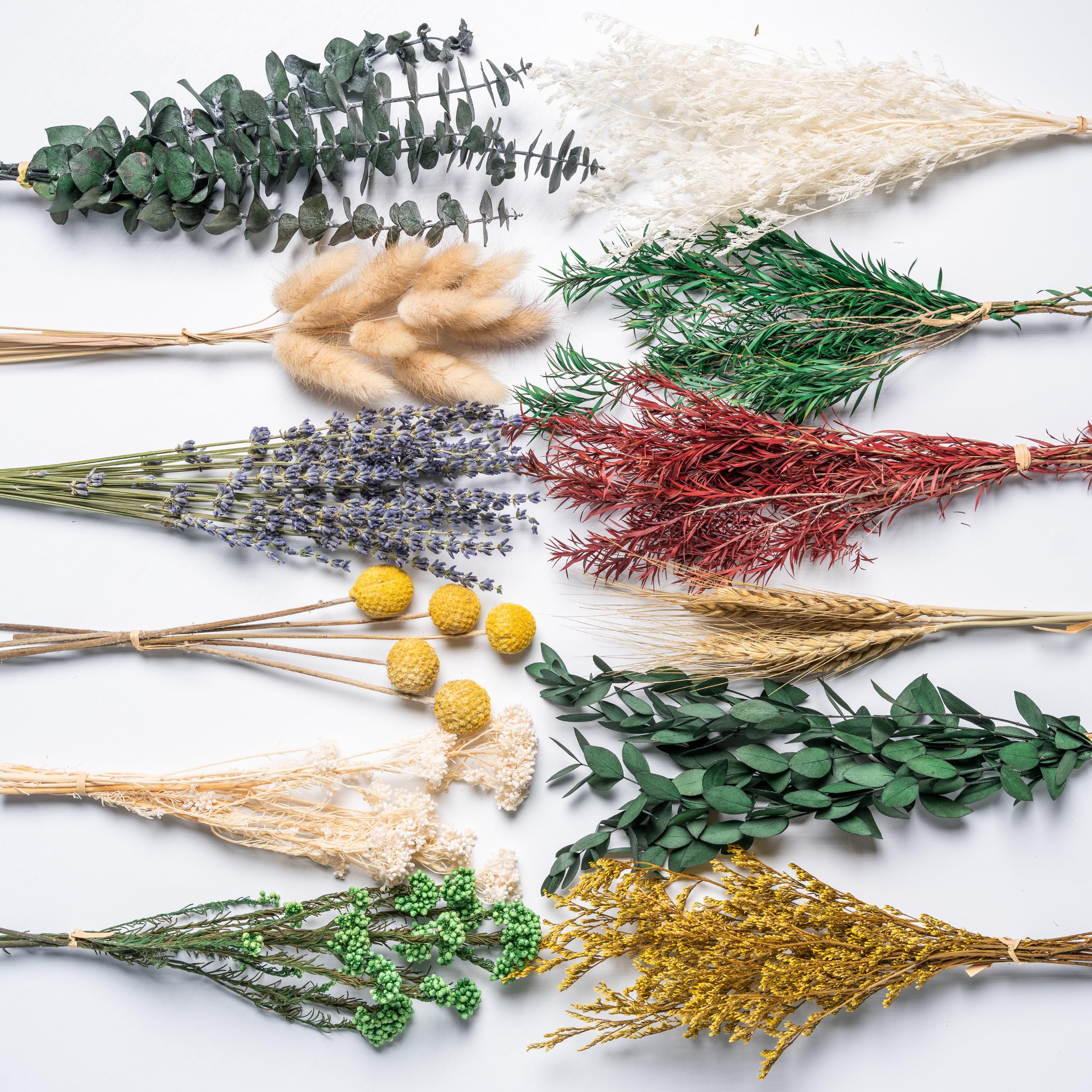12kinds natural dried flowers DIY kit handpicked 12 types
