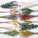 12kinds natural dried flowers DIY kit handpicked 12 types
