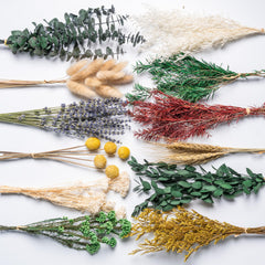 12kinds natural dried flowers DIY kit handpicked 12 types