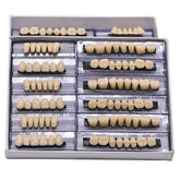168 piece fake teeth set for Halloween prop