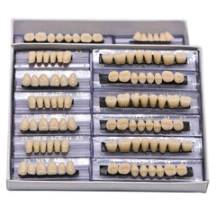 168 piece fake teeth set for Halloween prop