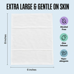 Multi-pack sanitizing wipes for home car use