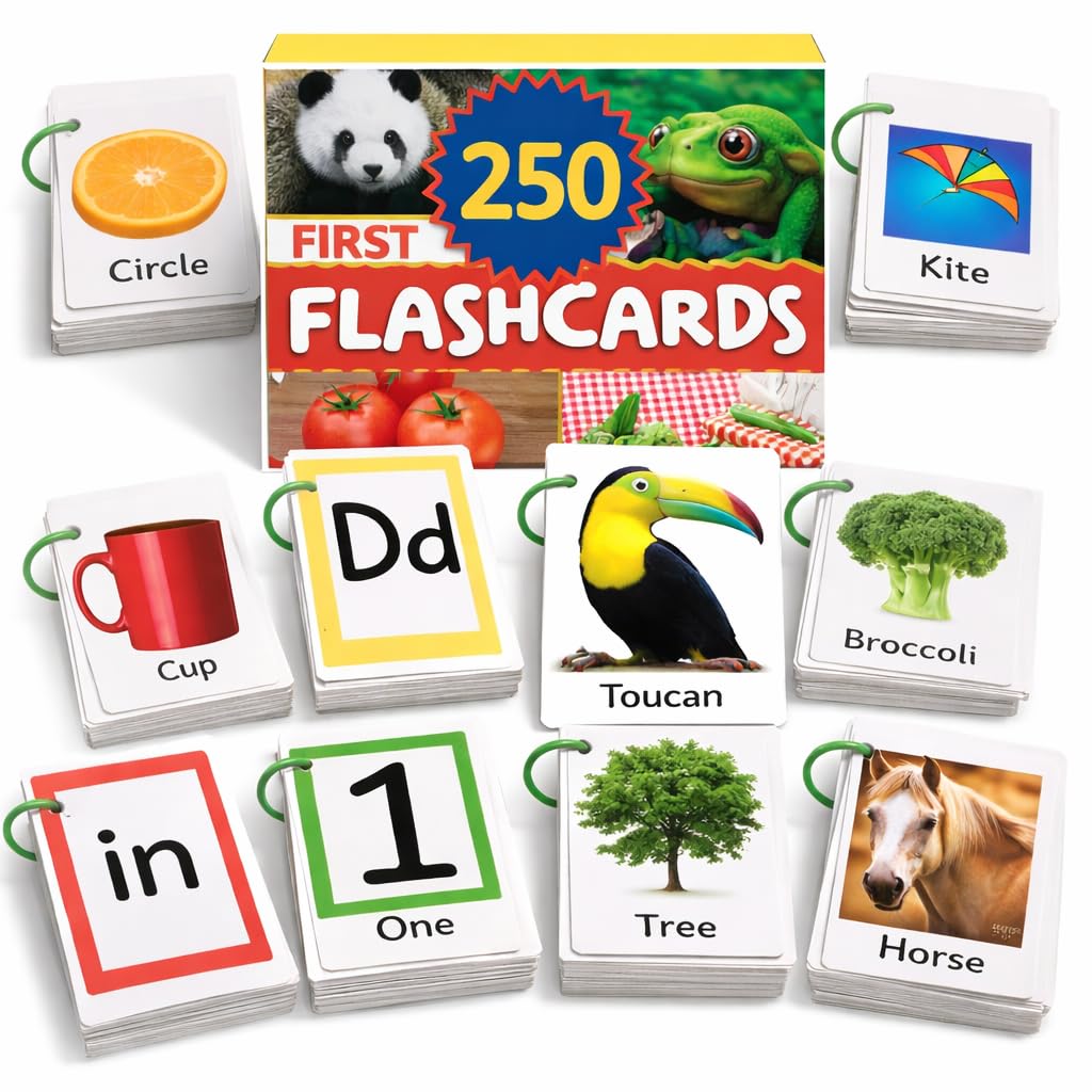 250 thick sturdy flashcards toddlers 1-3 rings set