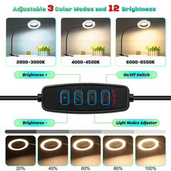 three color modes and twelve brightness levels on lamp