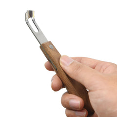 Citrus peeler and zester for decorating beverages and garnishes