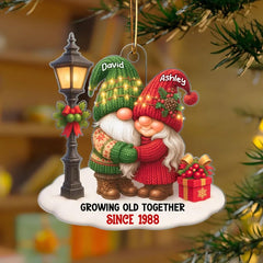 3D effect Gnome Ornament with rustic holiday details