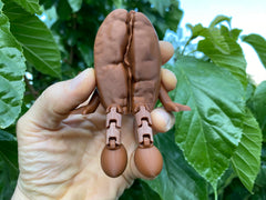 3D printed PLA desk buddy coffee bean figurine