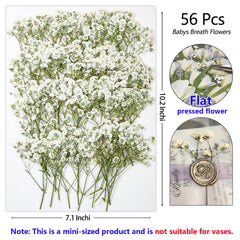 Dried pressed flowers suitable for resin art and jewelry