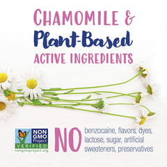 Chamomile 9C HPUS plant-based ingredients in Camilia