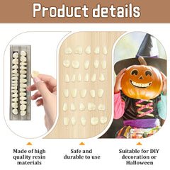 Upper and lower denture pieces A2 shade in two boxes