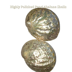Wreath shows 4 different abalone shell options