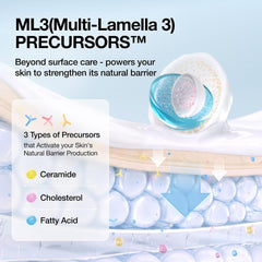 Soft melting texture described for ANUA Barrier Reboot Intensive Cream