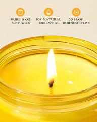 Soy wax candle for odor elimination by AOOVOO