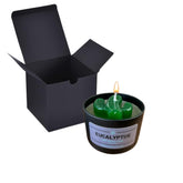 Aromatherapy stress relief beeswax candle in cactus shape