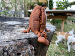 Articulated legs coffee bean figurine close up