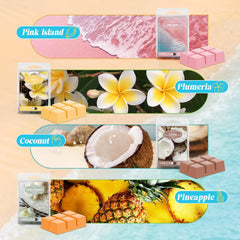 ARVIDSSON Vanilla Creamsicle scented wax melts cubes