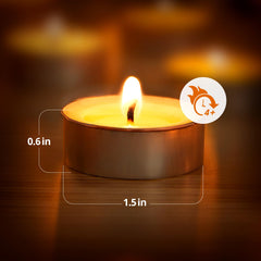 Palm wax tea lights by Ashlux with smokeless burn and no scent