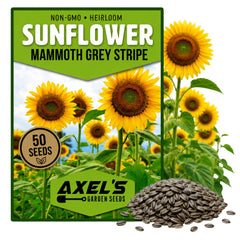 axels-garden-seeds mammoth-grey-stripe sunflower seeds pack front illustration