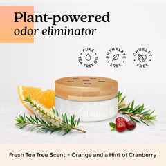 Plant powered non toxic Azuna odor eliminator for home