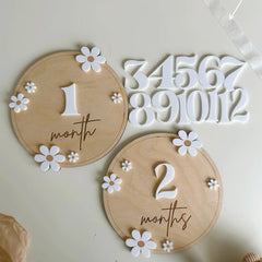 Baby milestone discs 4 inch diameter Boho wooden props