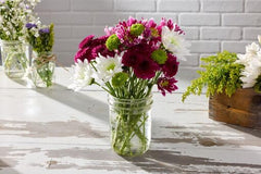 Ball 16oz wide mouth mason jar suitable for canning and crafting