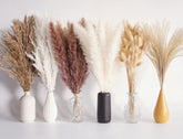 Bannifll dried pampas grass bouquet packaging