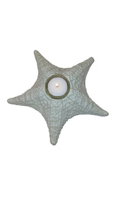 8 inch wide starfish candle holder for coastal decor