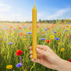 Seven and a half inch beeswax taper candle with bell top
