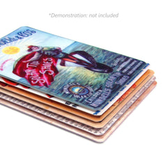 Birds of America fridge magnet decorative art