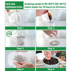 Lettuce seeds Boston variety from 20,000+ Lettuce Seeds collection