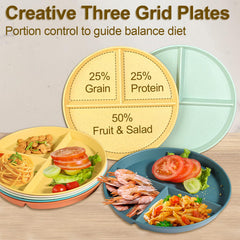BPA free food grade PP divided plates