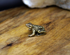 Brass frog display item suitable as a gift