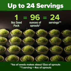 Brassica oleracea seeds bag front
