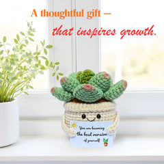 Compact crochet plant size 2.8 x 2.8 x 3.2 inches