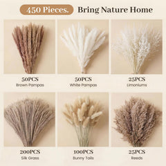 50 brown pampas pack component of JOHOUSE set