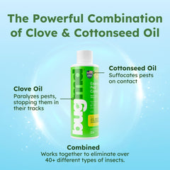 Forever Spray bottle prepared for BugMD concentrate