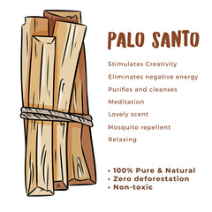 Botanical name bursera graveolens Palo Santo image