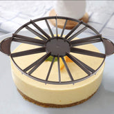 Cake divider and slicer showing 10-12 piece portions