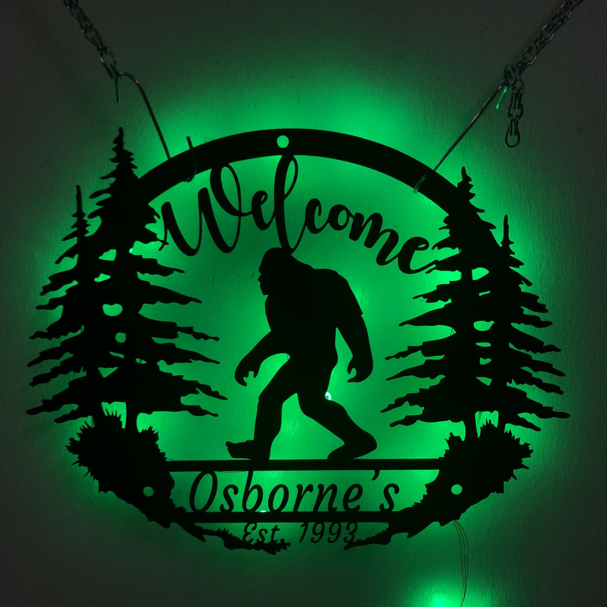 CALILI custom name LED sign 8 inch size metal wall art