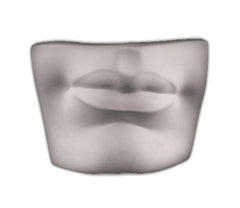 Caproni Collection plaster cast sculpture of David's Mouth 6x8x4 inches