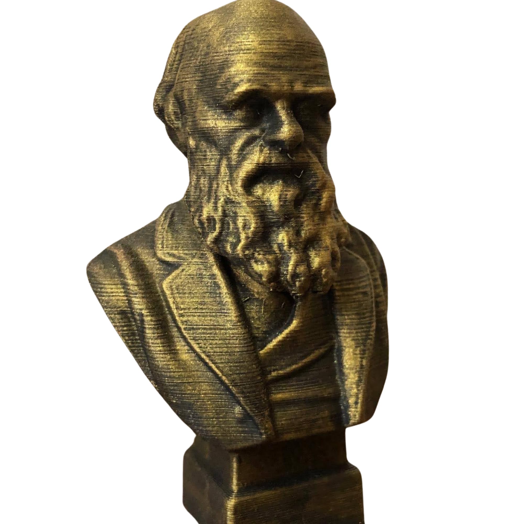 Charles Darwin 4 inch bust 3D printed with black base