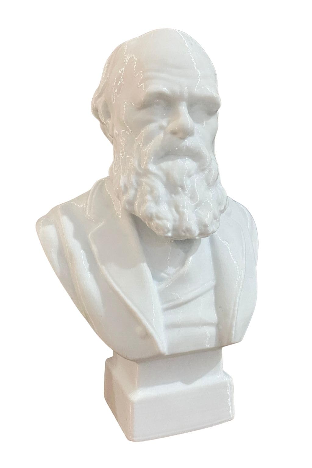 Charles Darwin Bust 13cm white PLA 3D printed decorative figure
