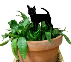 Chihuahua ornament product