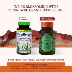 ChlorOxygen Chlorophyll Concentrate Softgels close up