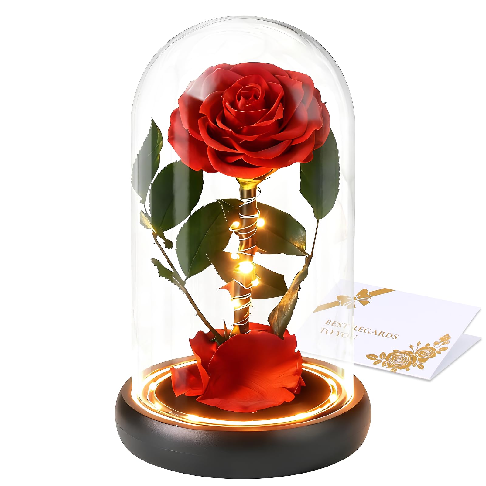CHOSIAROSE Forever Preserved Roses in acrylic dome
