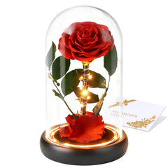 CHOSIAROSE Forever Preserved Roses in acrylic dome