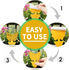 Butterfly design gnat traps Cleanuper 58 pack outdoors