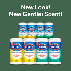 75 count canisters in Clorox variety pack
