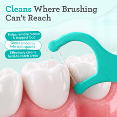 Cocomint flavored floss head on GuruNanda picks
